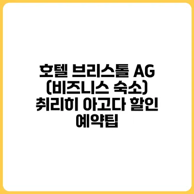 호텔 브리스톨 AG (비즈니스 숙소) 취리히 아고다 할인 예약팁