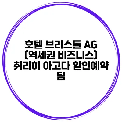 호텔 브리스톨 AG (역세권 비즈니스) 취리히 아고다 할인예약 팁