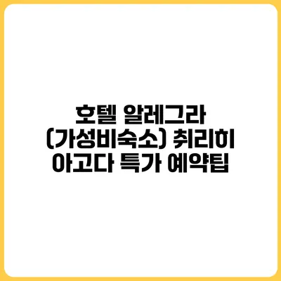 호텔 알레그라 (가성비숙소) 취리히 아고다 특가 예약팁