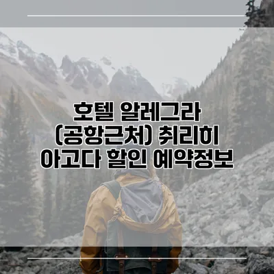 호텔 알레그라 (공항근처) 취리히 아고다 할인 예약정보