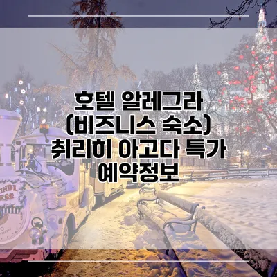 호텔 알레그라 (비즈니스 숙소) 취리히 아고다 특가 예약정보