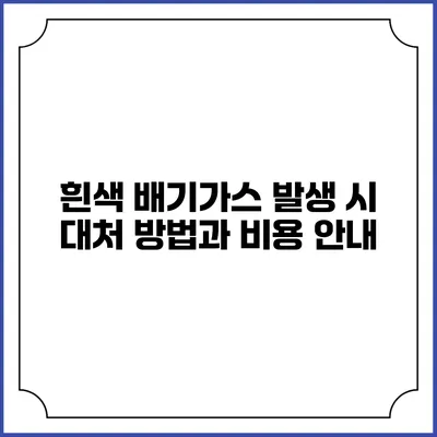 흰색 배기가스 발생 시 대처 방법과 비용 안내